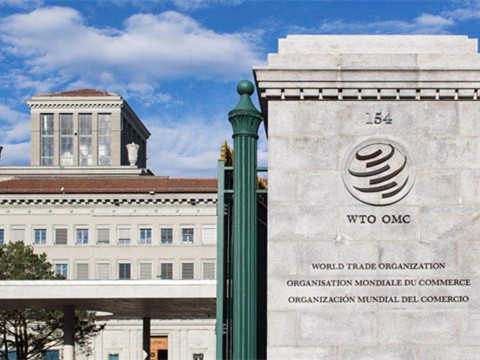 创盈配资 特朗普称考虑飞过去参加俄乌可能于15日在土耳其举行的谈判