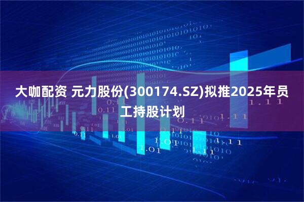 大咖配资 元力股份(300174.SZ)拟推2025年员工持股计划