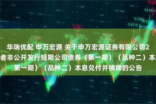 华瑞优配 申万宏源 关于申万宏源证券有限公司2025年面向专业投资者非公开发行短期公司债券（第一期）（品种二）本息兑付并摘牌的公告